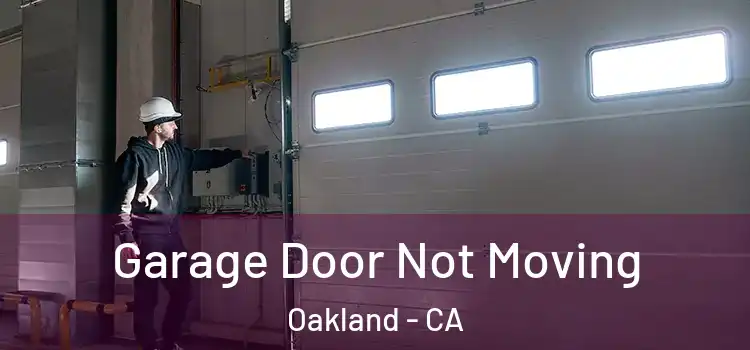  Garage Door Not Moving Oakland - CA
