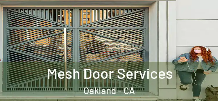 Mesh Door Services Oakland - CA